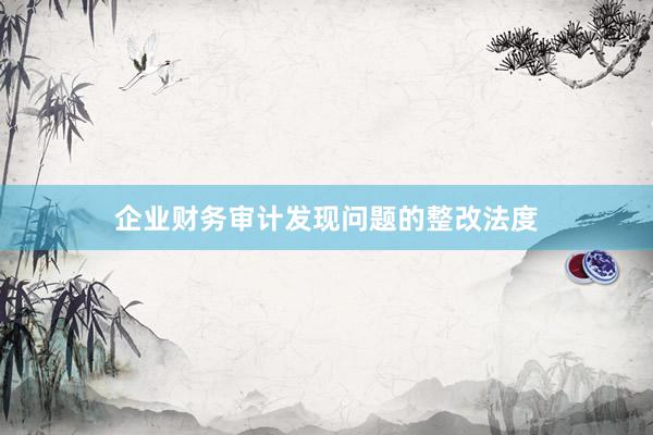 企业财务审计发现问题的整改法度
