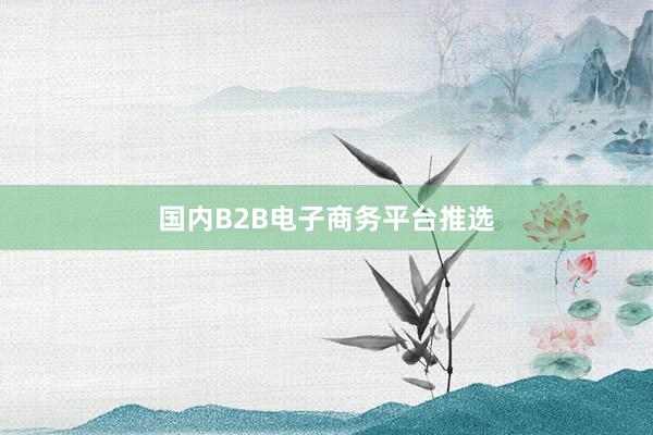 国内B2B电子商务平台推选