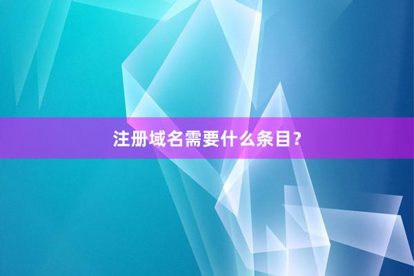 注册域名需要什么条目？
